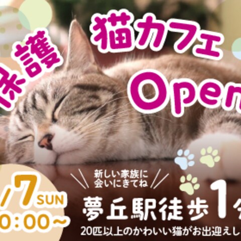 保護猫カフェのオープン告知