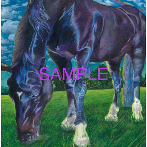 安らぐ馬の肖像画