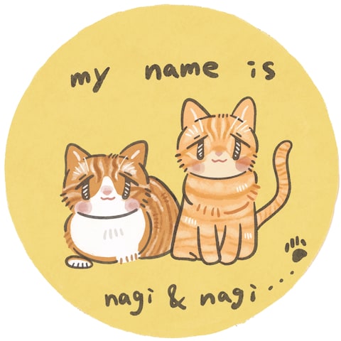 キジトラ猫