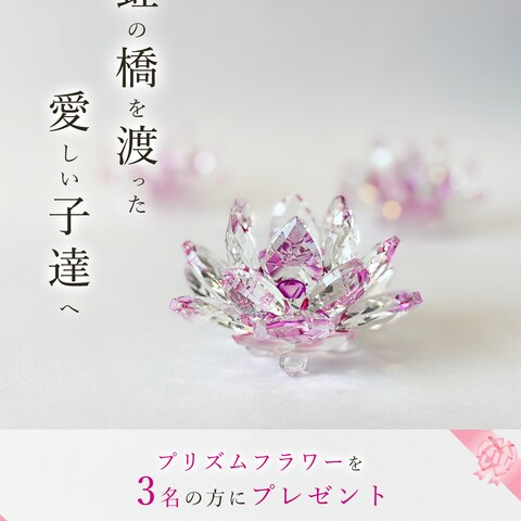 【実案件】instagram広告用バナーデザイン