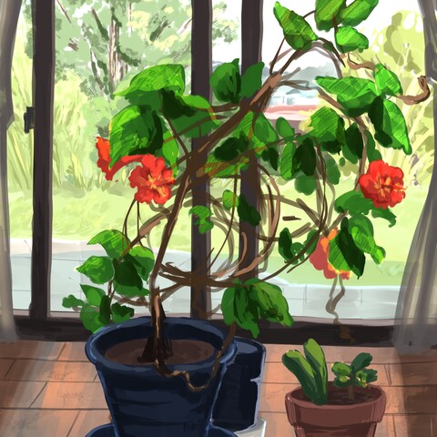 背景　窓際