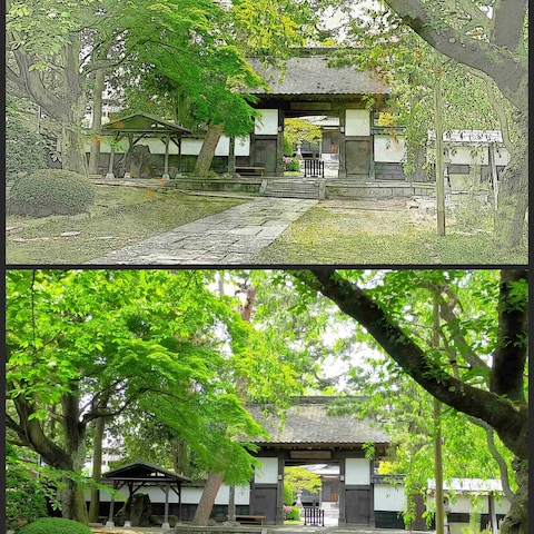 新緑香る松音寺