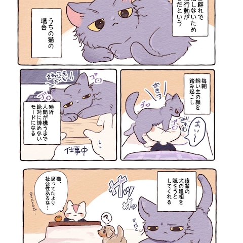フルカラー漫画
