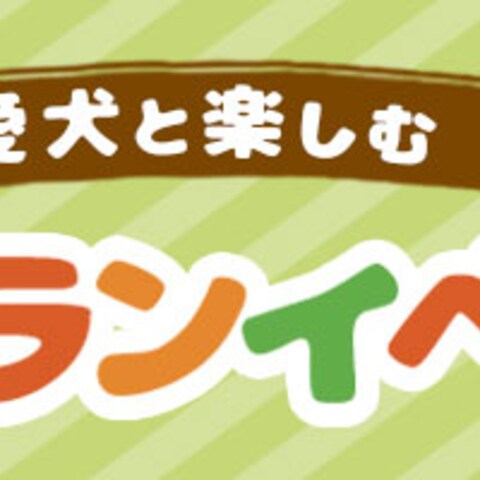 学校の課題制作　バナー：ドッグラン