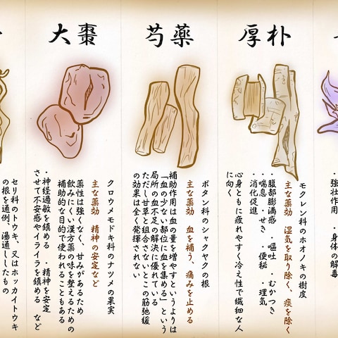 漢方の本草書デザイン・イラスト作成