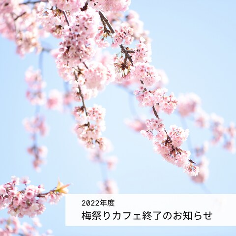 インスタ投稿画像
