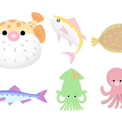 保育園：お祭り用イラスト　海の生き物