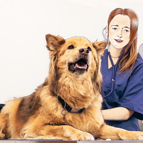 My dear doc