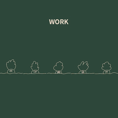 web portfolio