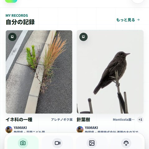 自然観察体験を支えるWebサービス制作