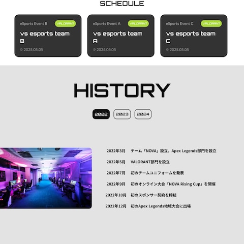 eスポーツチームサイト