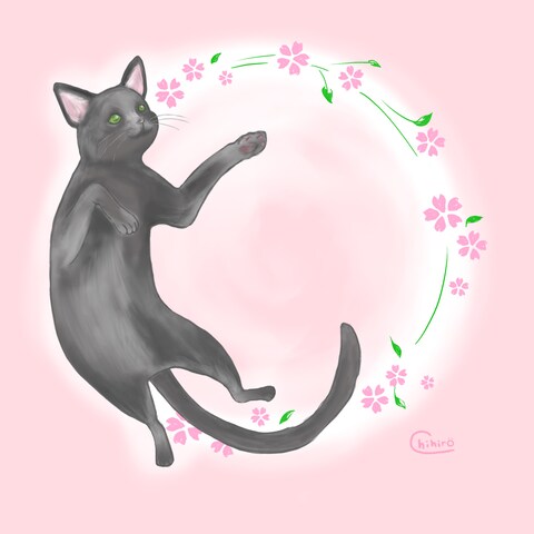 ハガキイラスト（桜と猫）