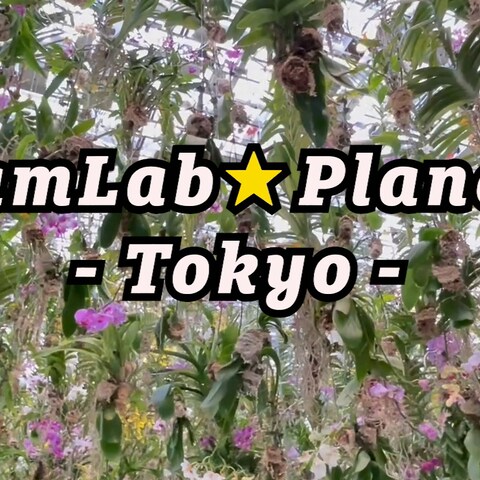 【サンプル】teamLabo Planets Tokyo