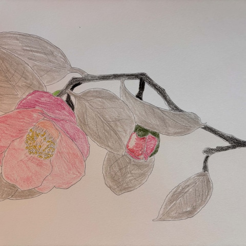 色彩検定を生かした塗り絵です②