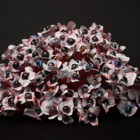 hydrangea, 2023