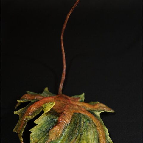 leaves #06, 2023