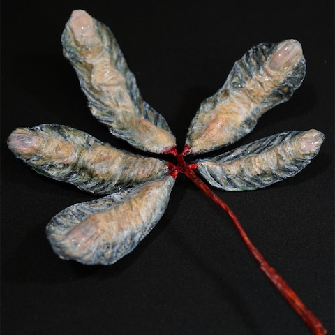 leaves #04, 2023