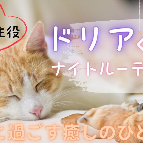 YouTubeサムネイル画像