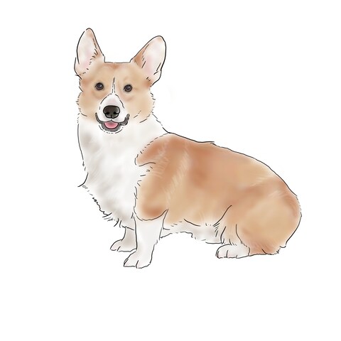 商品紹介用写真イラスト2