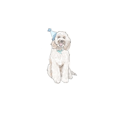 ご依頼のペットイラスト2