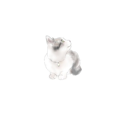 ご依頼のペットイラスト3