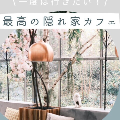 Instagram 投稿画像