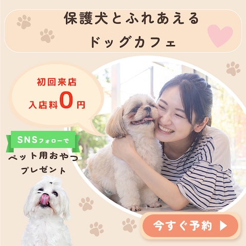 犬好きの心をつかむSNS向け広告デザイン