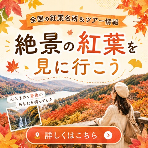 【バナー>紅葉ツアー】