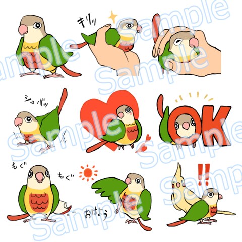 インコのLINEスタンプ