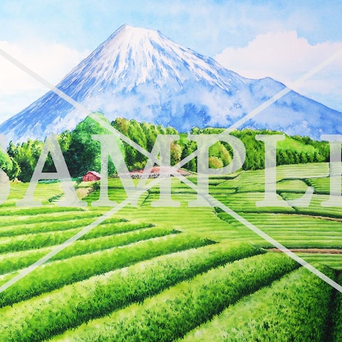 富士山と茶畑の風景画