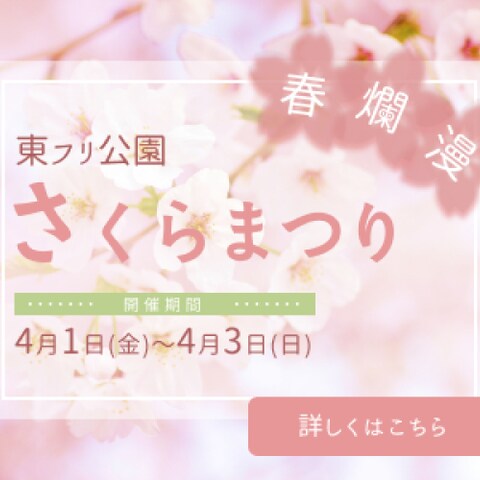 さくらまつりバナー制作
