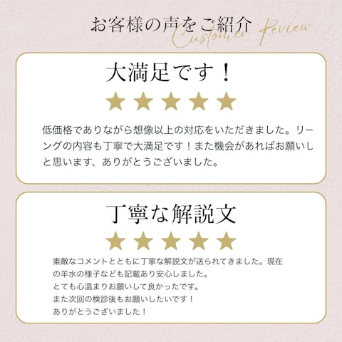 お客様からのお声をご紹介