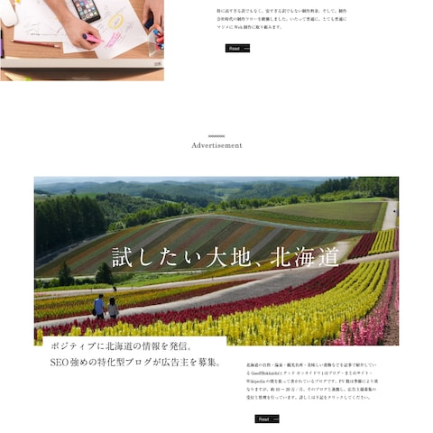 自分のサイトのカンプ