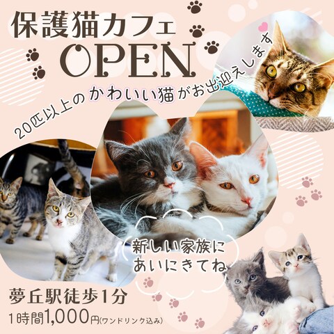 保護猫カフェバナー