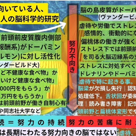 努力が向いている人、向いていない人　努力継続率　成功左右要因
