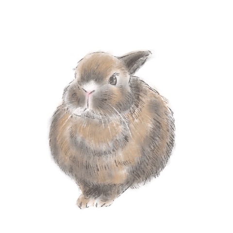 ウサギのイラスト