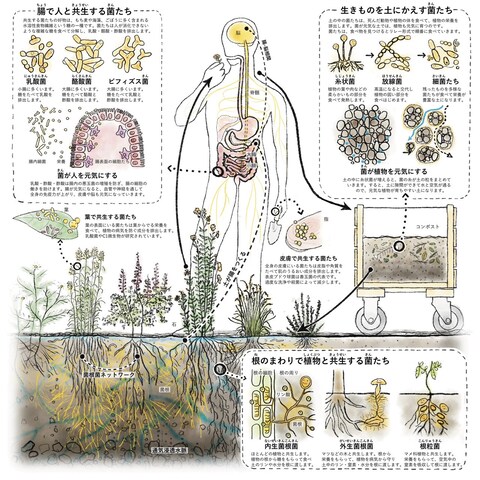 資源循環と微生物との共生関係を描いたコンセプトドローイング