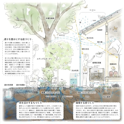 建築のコンセプトを表現する断面ドローイング