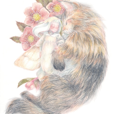 帰り花