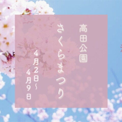 【参考】さくら祭のバナー