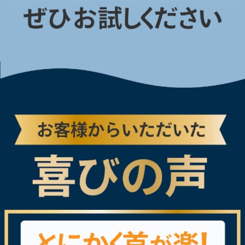 物販LP