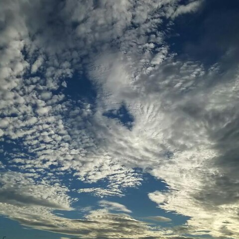 空と木と葉っぱなどの写真撮ります。