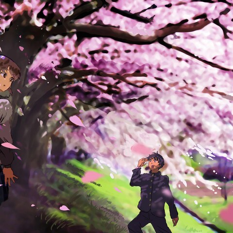 桜と人物