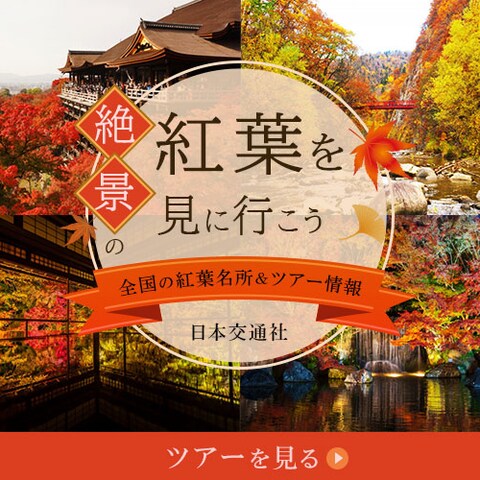 バナー：紅葉