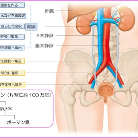 看護学習サポート