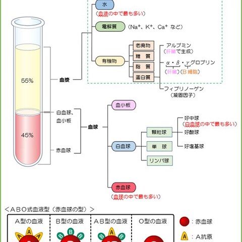 看護学習サポート