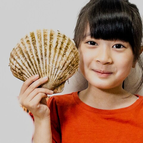楽天サムネイル素材撮影