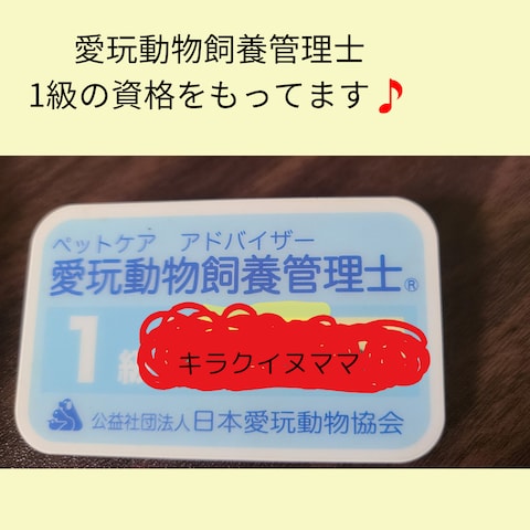 愛玩動物飼養管理士一級の資格をもっています