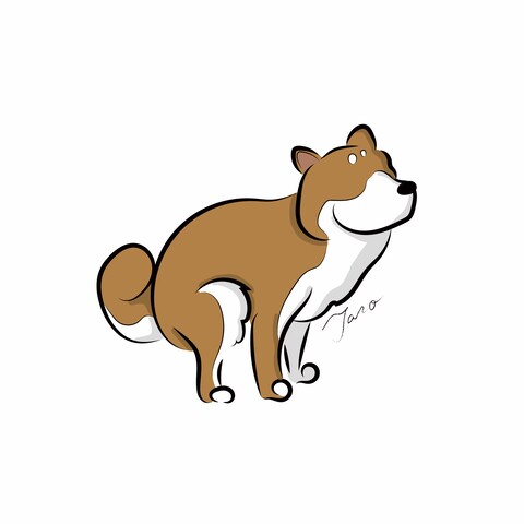 柴犬イラスト