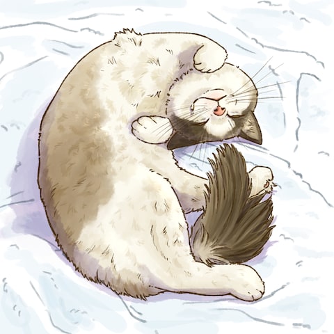 ご依頼イラスト